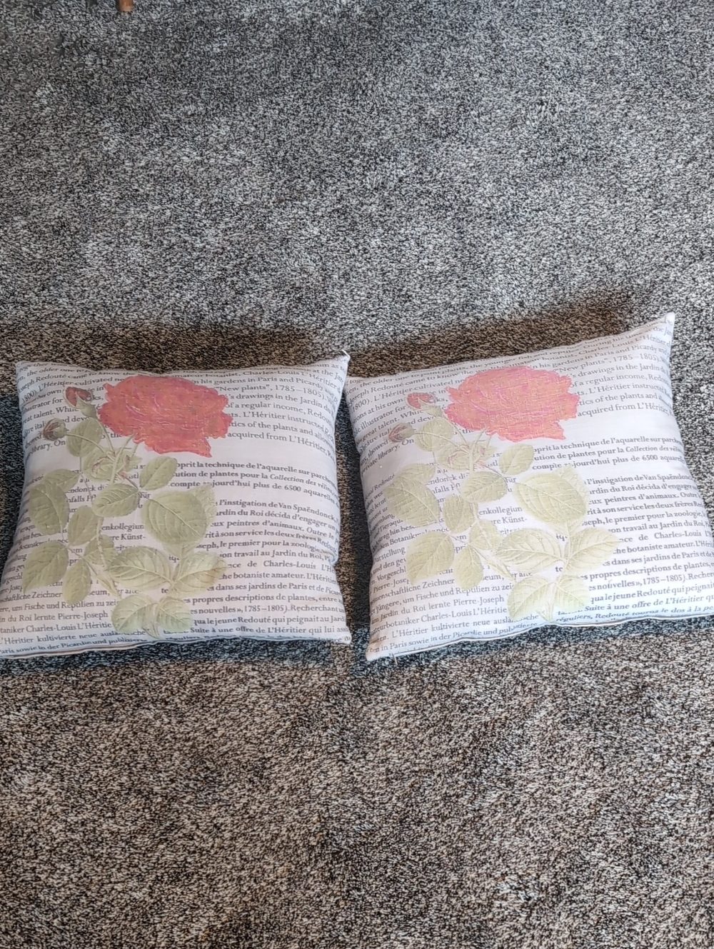 Floral Script Throw Pillow Pair - Red Rose on Cream